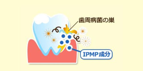 IPMPの働き
